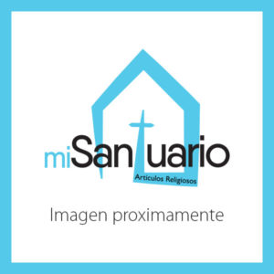 Virgen La Milagrosa, Mirrored 27"x34"