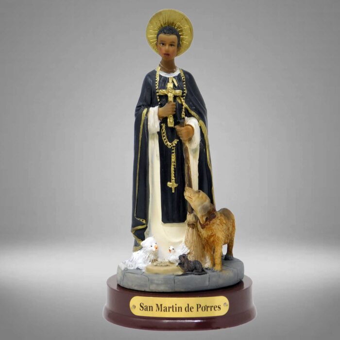 HS Saint Martin of Porres
