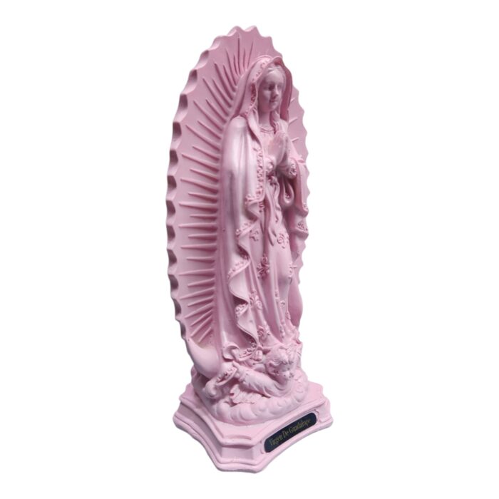 V. de Guadalupe Rosa 8"